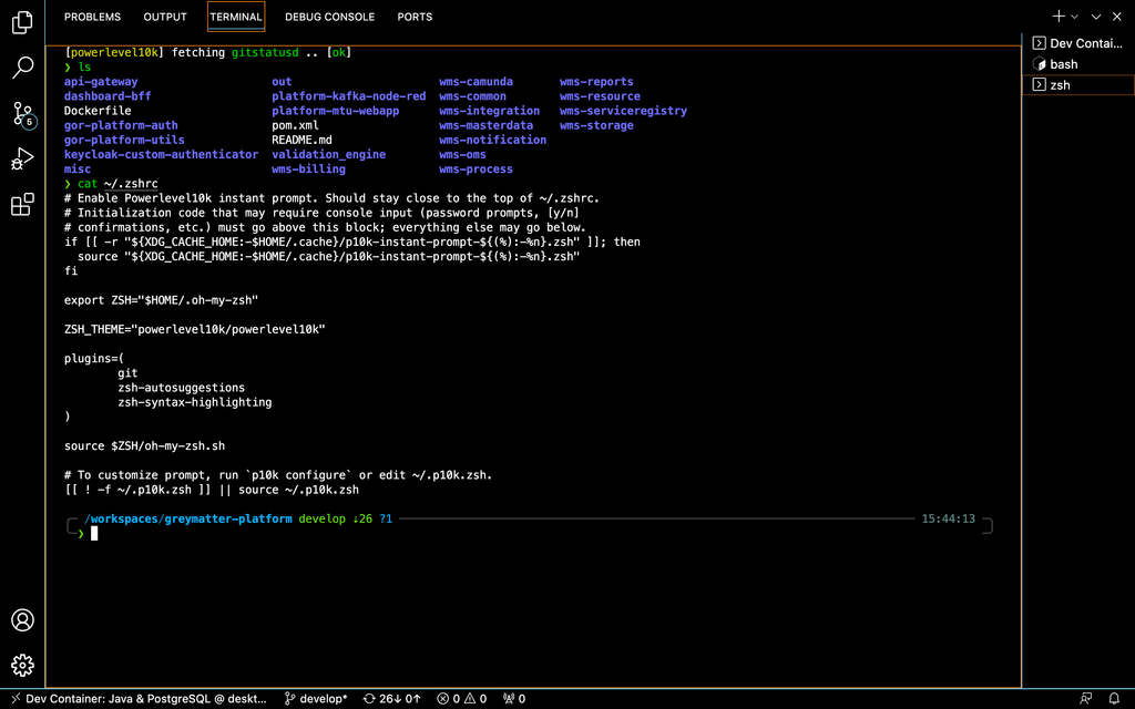 oh-my-zsh with powerlevel10k terminal